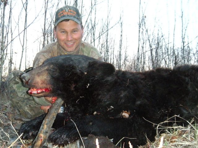 Anthony, the booking man of the group, brought me 7 non baited bear hunters who all tagged black bear including brown phases of the black bear. A mix of hunters and a camp full of laughs and dozens of photos were taken of there bears. A nice trophy black bear for his wall. Congratulations.