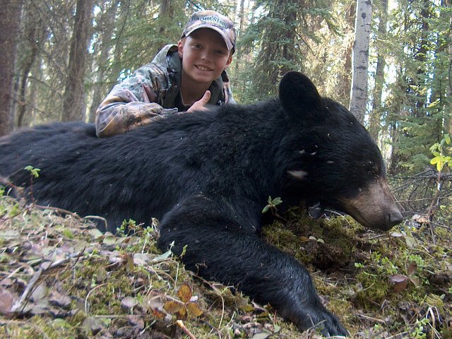 Brad at 12 years took this trophy bear with dead on precision on his shot and not a moment too soon. While sitting with, Rick, his guide, this bear, part of a group of 4 bears turned to charge but Brad\'s bullet hit dead on and dropped his trophy on the spot. What a great new hunter to have in camp and his character and excitement each day was a highlight of the week.