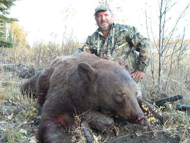 Aussie, John had orders for a brown colored black bear. Not sure if this comedian considered his wife\'s request but he did take home this brown colored bear. Combined with his fall moose hunt this bear only took part of a day to get. What a pleasure to have such a great guy in camp and I plan to hunt with him again only in Australia this time. All the best.
