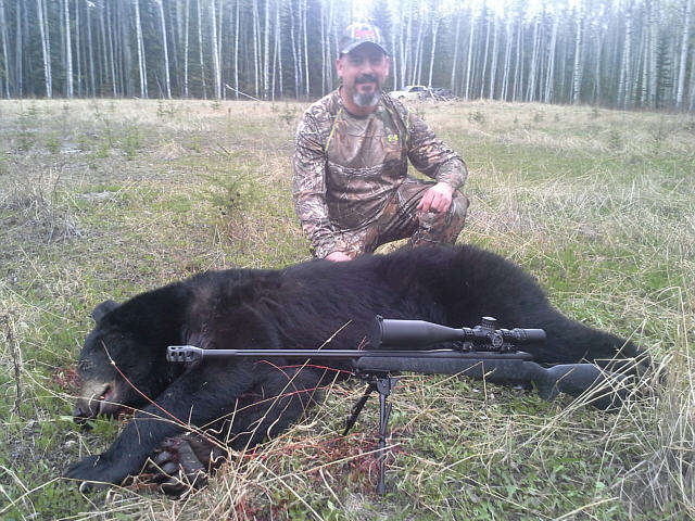 Guiding Mike was about as easy as it gets.  Put him on a spot and stalk for a black bear and he takes this monster of near 450 pounds of spring bear.  Put him on another spot and he nails another good bear.  