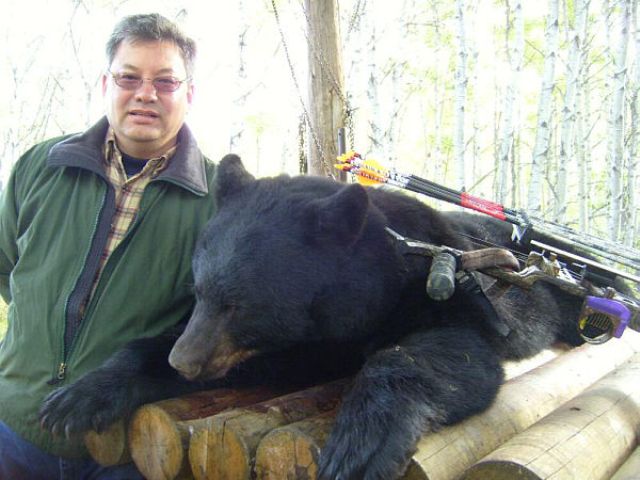 Archery on a non baited bear hunt. Once again we proved we can get bears by archery with no bait. Don hunted the natural food plots like clover patches and berry patches and this photo shows his success. What a pleasant hunter to have in camp. I wish all hunters were as nice as, Don.