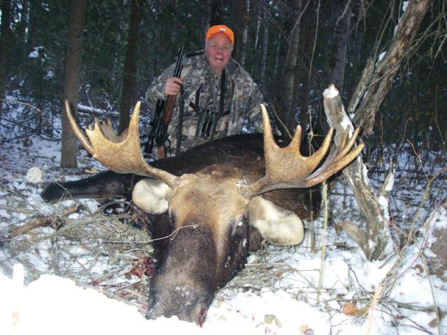 Carl, the retired firefighter, didn\'t wait for the 50 inch bull moose that he wanted. Instead he took the first bull he saw his first day. Not a bad trophy for the first bull of his hunt. Check out the rich color and the thickness of the antlers.