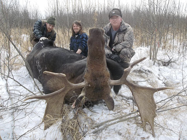 Guide, Heather, showed her hunter 5 bulls sleeping in an opening along the road. Thinking they picked out the largest her hunter, Doug, let fly and dropped this 50 inch rack. When the 4 remaining bulls ran they observed that one was much wider and had many more points. However, Doug was very happy to take home this trophy. We skidded this 1600 pound body out of the brush with our quad. What a pull.
