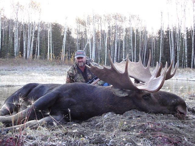 Ken hunted a mid October hunt for a trophy moose. Here is his trophy bull moose and pretty nice bull at that. It wasn\'t long before all hunters tagged out and we had days to tell stories and tell our special techniques on just how to get the next bull. A drink or two was exchanged but mostly stories. Good hunting Ken and I hear your moose meat is very tasty. 