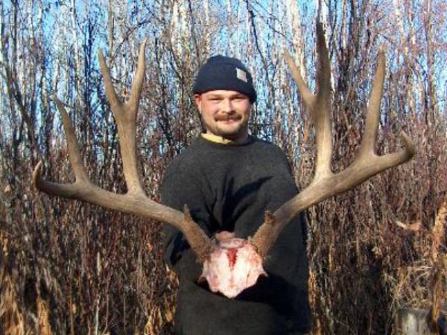Check out this typical monster mule deer. What a buck and second time, Alaska hunter, Steve, is proud to be holding it. The wolves took the buck down, hunter showed up and shot the buck, wolves ran off, hunter took head and rack, wolves came back for the remains. What a story of 29 inches of record book buck, Wow! 