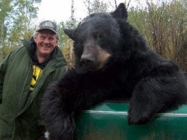 Return client, Anders from Sweden, poses with another huge black taken on a mid May hunt. What a bear measuring 7 ½ feet and a body weight of over 400 pounds. Non-baited hunts often produce larger bear and most feel it is a more exciting way to hunt.