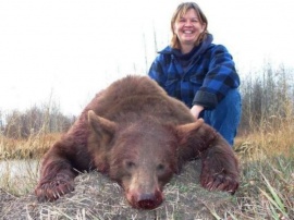 My friend, Heather, and another brown bear taken by spot and stalk. Previously she had taken a larger black bear by spot and stalk. This 300 pounds of brown bear is an excellent trophy and will make a high valued rug when she is finished with it. Check out the thickness of the fur on this bear.