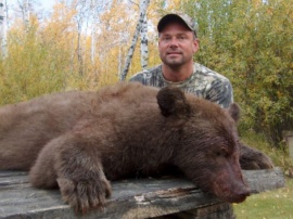 Another brown on a non-baited hunt. Once again the challenge of non-baiting produces many of the best bears. Steve claims this brown for his wall and his brother took home a black bear. This season brought us a ratio of browns that would be hard to beat anywhere. 46% of all bears taken this year were of the brown colour phase.