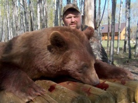 Wesley with his monster brown colored black bear. What a huge bear and he is getting a full mount done. His group of six all tagged and had opportunities to tag a second bear. Once again the non baited hunts provided the largest of the bears over natural foods like fresh spring clover. Grasses are a bears main source of foods.