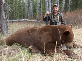 Whoever said brown bears don't get big has not hunted our country. Take a peek at Basile's monster brown. Over 8 feet and over 500 pounds of trophy brown bear bruin. Congrats on such a nice bear. It should make a great full mount for your trophy room and provide many stories to tell.