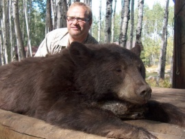 What a great group of hunters to have on our opening fall hunt. 2 from Denmark and 1 from United Kingdom. 3 hunters and all shot at brown bears on their non baited fall bear hunt. Henrik poses with his deep chocolate brown bear at the skinning table in our hunting camp. Congratulations on your success.
