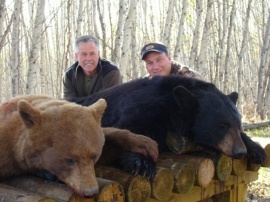 Two hunters, two bears and I have them in my web site two times. Doug and Anthony leaning on the skinning table with hopes of someone taking their photos just one more time. This photo shows that all color phases are taken in my camp. Just another successful non baited hunt. Always the best hunts!