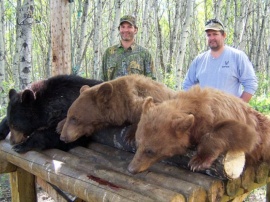 His guide dropped him off in an area that showed signs of several bears then carried to put his second hunter on a good location. A short time later Dave had both his bears on the ground, side by side. Smiling he said that he got a bit excited. No point in waiting if you find what you are looking for and in 30 seconds the first day Dave was tagged out with two brown bears. A fun guy and we had the rest of his hunt to visit.