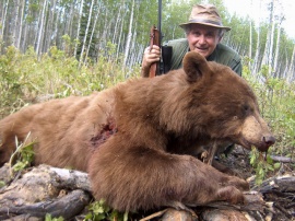 This spring I had my first 2 hunters from Italy. Italy made the 25th country to hunt big game from my camp. Mr. Cinquini spoke English and translated for his partner. They soon adjusted our ways of hunting and tagged his trophy bears, a black and this one being a reddish brown color phase of the black bear. A rug is being made so he can enjoy it and show his friends as he tells his bear hunting stories.