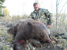 Aussie, John had orders for a brown colored black bear. Not sure if this comedian considered his wife's request but he did take home this brown colored bear. Combined with his fall moose hunt this bear only took part of a day to get. What a pleasure to have such a great guy in camp and I plan to hunt with him again only in Australia this time. All the best.