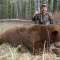 Whoever said brown bears don\'t get big has not hunted our country. Take a peek at Basile\'s monster brown. Over 8 feet and over 500 pounds of trophy brown bear bruin. Congrats on such a nice bear. It should make a great full mount for your trophy room and provide many stories to tell.
