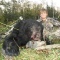 Nate, hunting at 12 years of age and he took home two bears. His first with a rifle and his second he pocked 3 arrows into this bear at 22 yards hitting the bear in the spine and neck bone. The bear dropped from his first arrow, the others arrows were reassurance of his bear on the ground. Fantastic shooting. What a pleasure to have Nate in camp. He is a great hunter and will be greater in the years to come. 