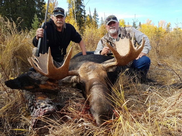 50 inches of bull moose puts it close to...