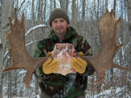 Logging blocks are excellent areas to hunt November moose usually offering several bulls to look at. Out of this group of 4 bulls Jason took the one closest to him and bagged his first trophy moose. A well balanced set of antlers that will look great as a shoulder mount in his house.
