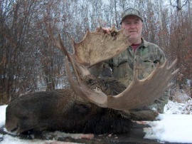What a well balanced set of antlers. An average sized bull with a mirror image. This bull and another were selected out of a small group of moose and taken seconds apart in a deep valley. The two hunters and their guide have a hard work story to tell.