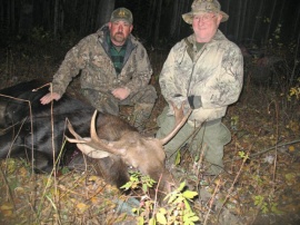 Garry took the first bull he could. Both him and his son took home meat bulls and the report is, "Very Tasty". What great people, what great hunters to have back in my hunting camp. A mid rut hunt and calling had something to do with his success.
