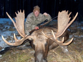Joshua's monster bull moose taken off a logged over block of forest. His father also shot at a bull a bit larger than this one. During the late part of the rut both bulls were herding cows in different areas and feeding on fresh sapling regrowth. Feeding most at nights hunters had to be in position at first and last light for their trophy of a lifetime.