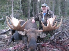 Last season we took several bulls around the 50 inch mark. Many were in the record book class but all were trophies for the hunter who harvested each bull moose. Here Rick smiles for the camera as he kneels beside an 1800 pound moose. What a trophy.