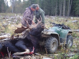 Guide Sean and his hunter, preparing to drag this monster bull to his pickup. Taken off a logged of block in the woods this bull was too heavy to get out any other way. These remote logging areas provide us with many large bulls each season.