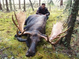 61.5 inches of monster bull moose taken less than an hour after calling. A rack for anyone and a super specieman for the Canadian species of moose. Not all moose get to be this size so lower your sights but try for the best and here is where you find the best. Our camp, our guides and the forests they hunt.