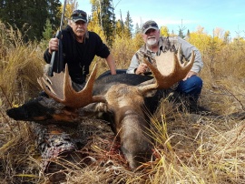 50 inches of bull moose puts it close to the record book depending of quality.  This trophy is close so not bad for a trophy collection and a dream come true.  A nice shot and a quality bull moose made for a happy hunter.