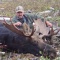 Taken on a logging block this bull hit the ground and gave Casey an excellent trophy he is proud to own. Logging blocks supply us with a good assortment of trophies to record book class. Thanks to a great group of guys for participating in our moose season. 