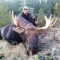 Our first hunt for the fall and the first moose called in.  Sabastian started his hunt, Sept. 9 and tagged this bull Sept. 10.  No time was wasted when this bull came to the guide's call and Sabastian hit the mark.  What a great hunt and what a great person.  A real pleasure having this hunting in our camp.  We hope to be hunting with you again in the future.  Thanks again.